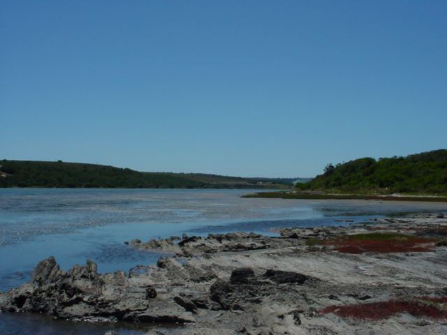 0 Bedroom Property for Sale in Kromme River Estate Eastern Cape